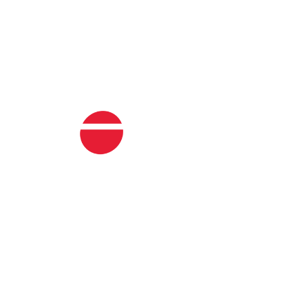 POLAR Icon